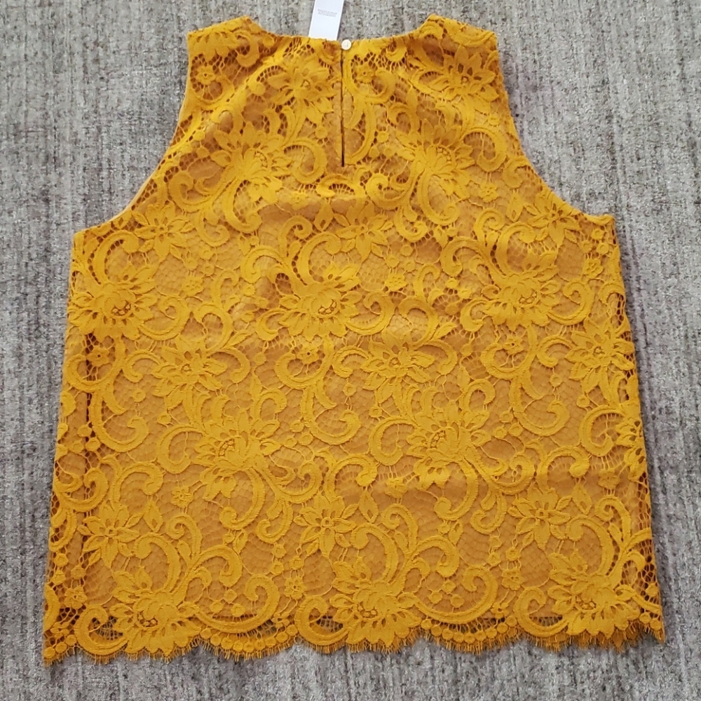 Loft Lace Top NWT - Picture 2 of 5